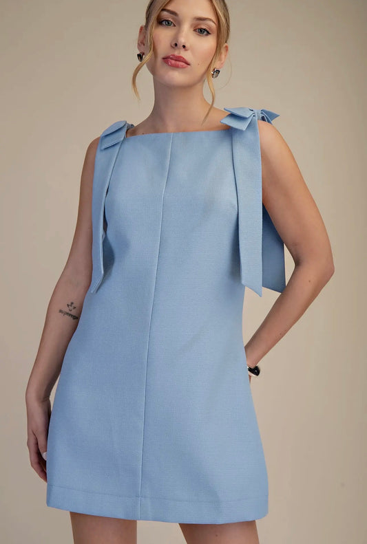Blue Bow Dress